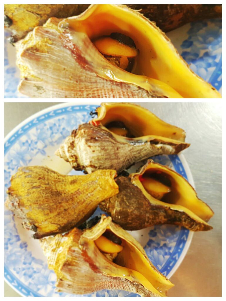 เมนูหอยร้านอ๊อกด่าว โฮจิมินห์ เวียตนาม